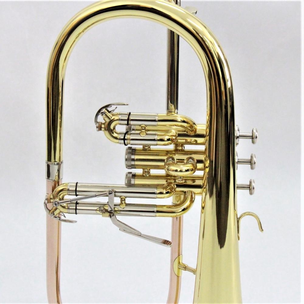 Modèle professionnel Flugelhor - Musical Instrument Online avis et prix