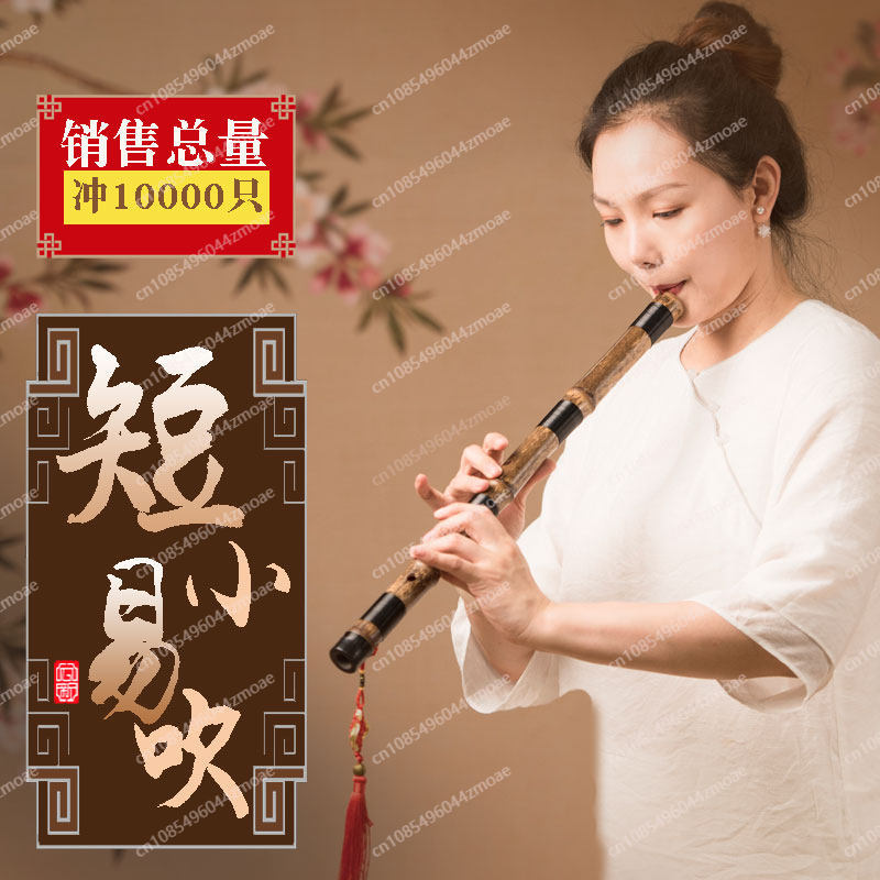 Flûte professionnelle à 8/6 tr - Musical Instrument Xiao avis et prix