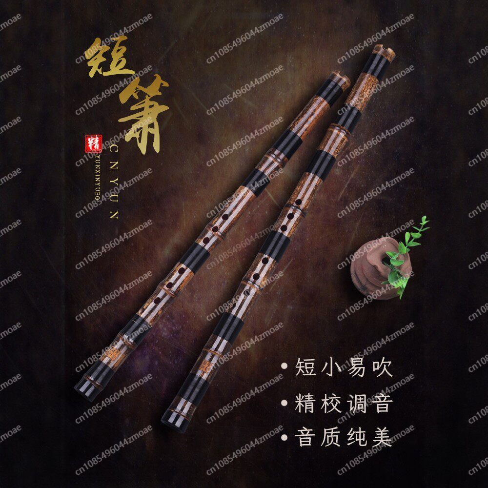 Flûte professionnelle à 8/6 tr - Musical Instrument Xiao avis et prix