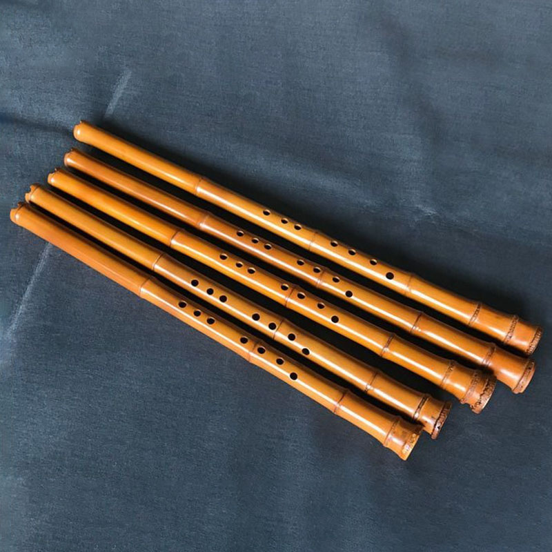 8 trous bambou Xiao Performanc - Musical Instrument Xiao avis et prix