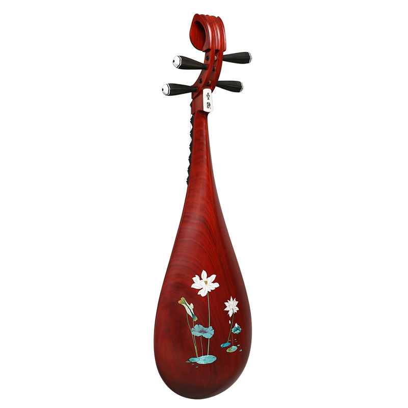 Nouvel instrument musical Pipa - Musical Instrument Pipe avis et prix