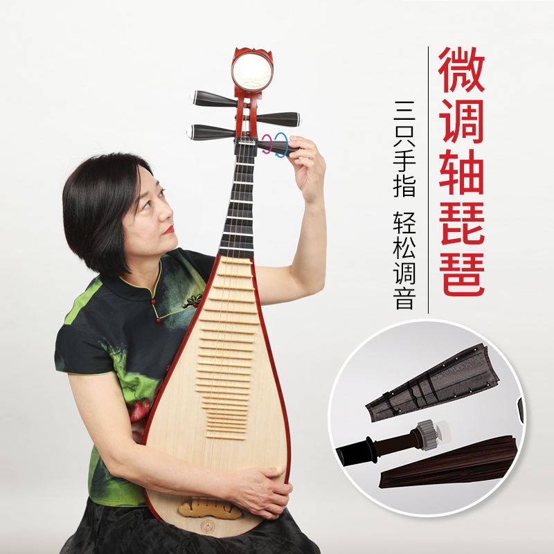 Nouvel instrument musical Pipa - Musical Instrument Pipe avis et prix