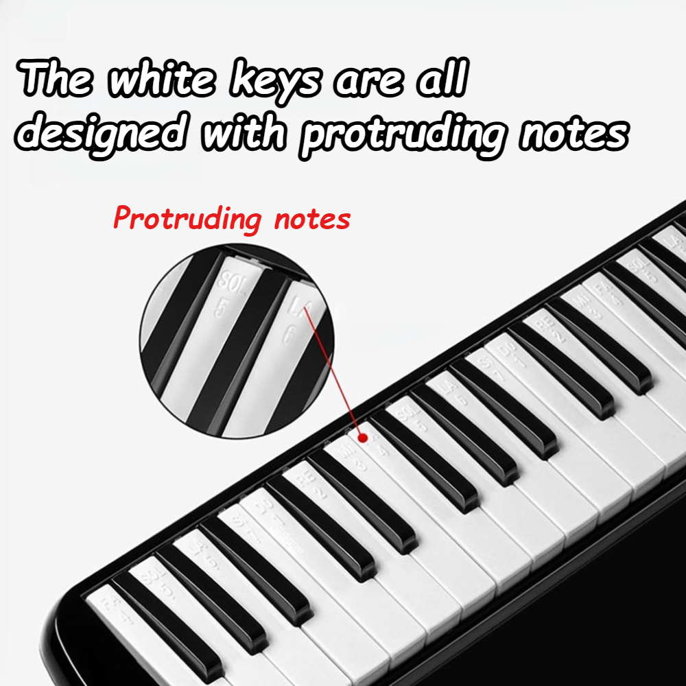 Instrument mélodica 37 touches - Musical Instrument Melodica avis et prix