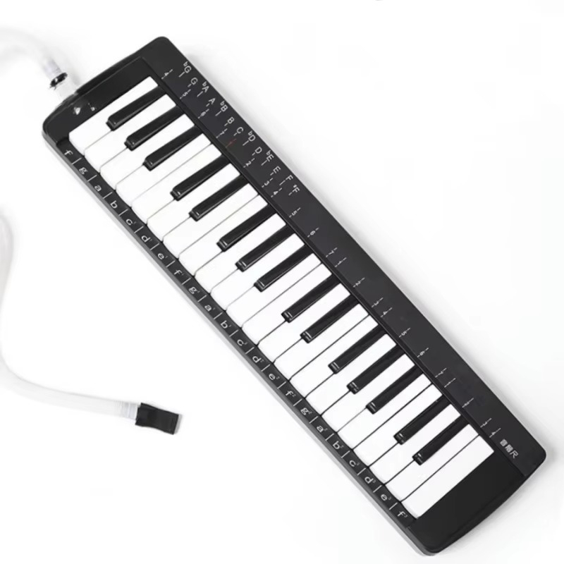 Ensemble de mélodica professio - Musical Instrument Melodica avis et prix