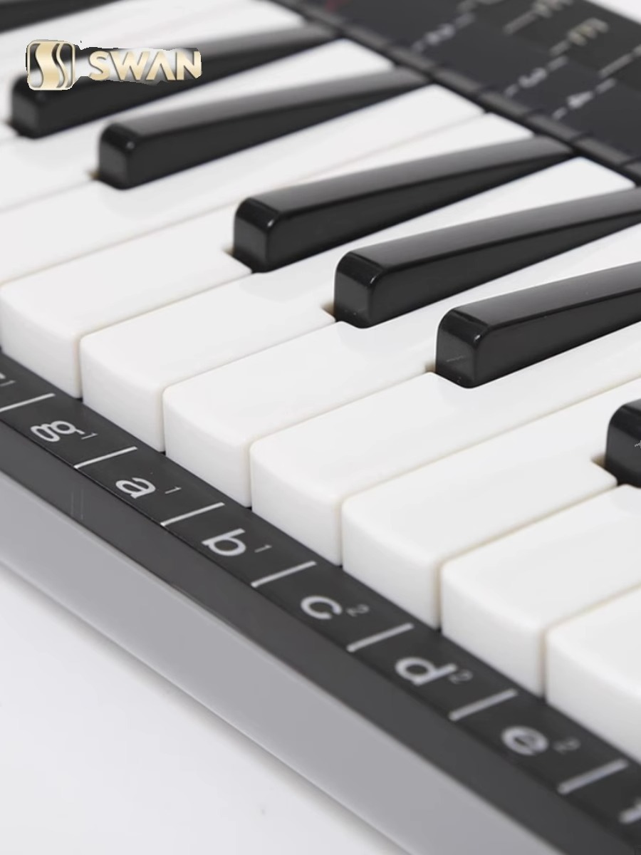 Ensemble de mélodica professio - Musical Instrument Melodica avis et prix